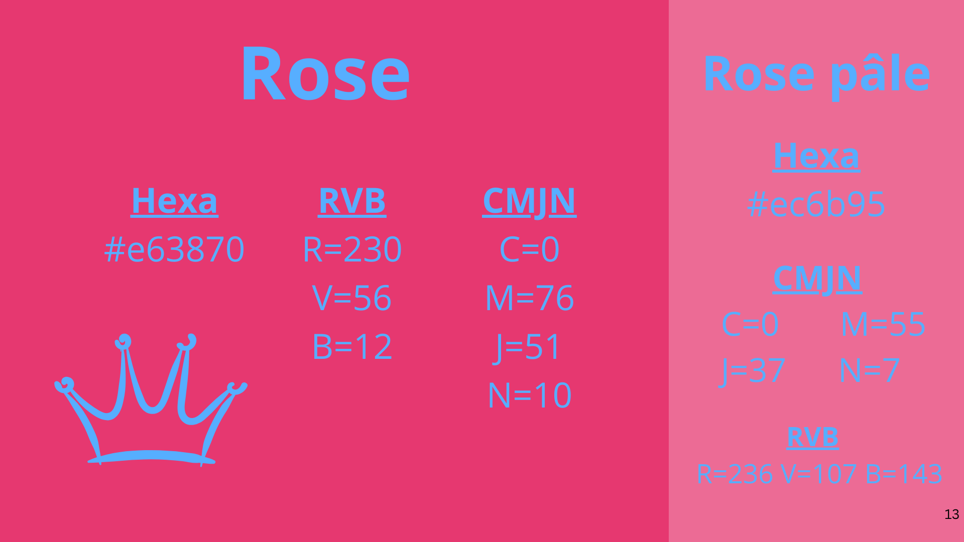 Petfy Charte Graphique(1)